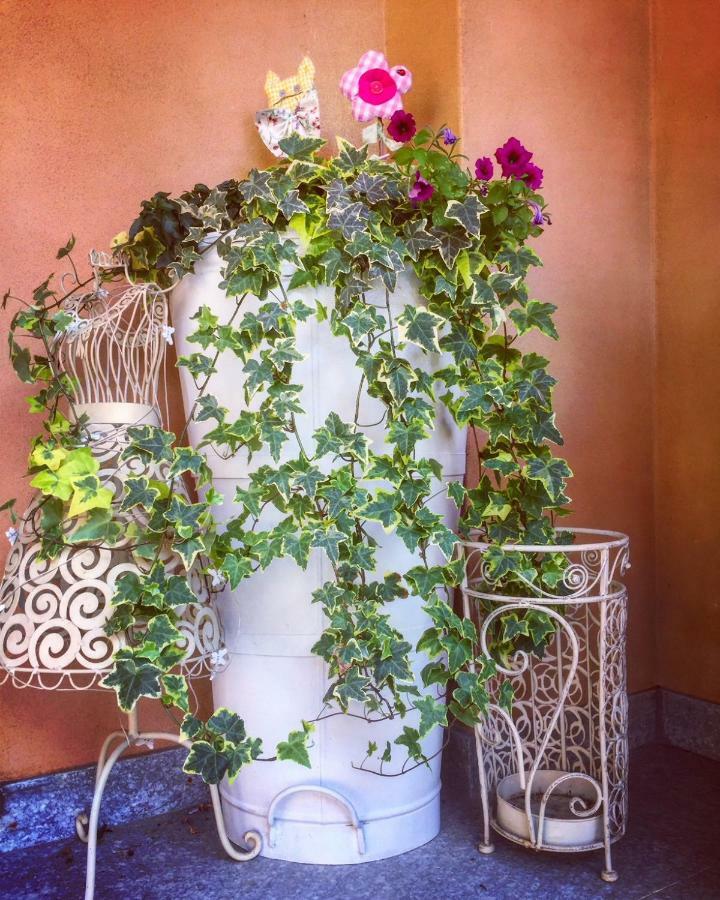 I Grappoli Divini Bed & Breakfast Viarigi Ngoại thất bức ảnh